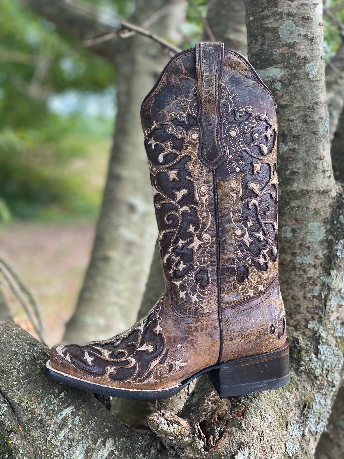 
                  
                    2815 - Rockin Leather Women’s Volcano Cafe Laser Cut Western Boots
                  
                