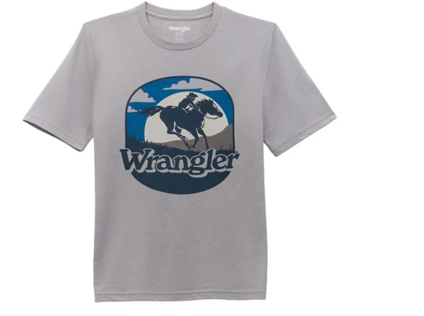 112354203-Wrangler boy's Graphic Tee- Grey